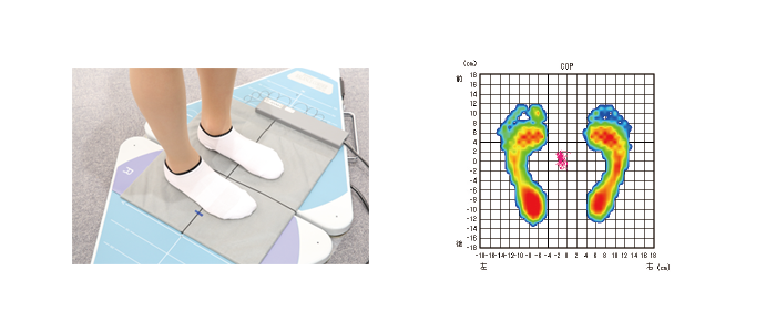 高機能で多機能 バランスコーダ BW-6000
