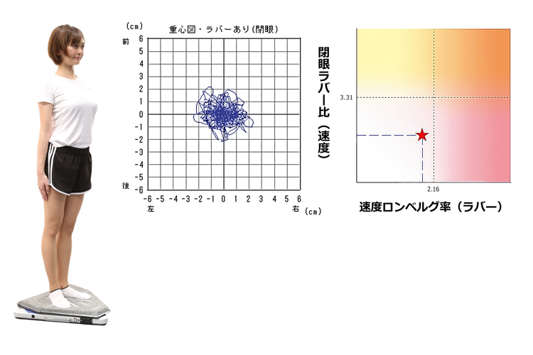 ラバー負荷検査(オプション)