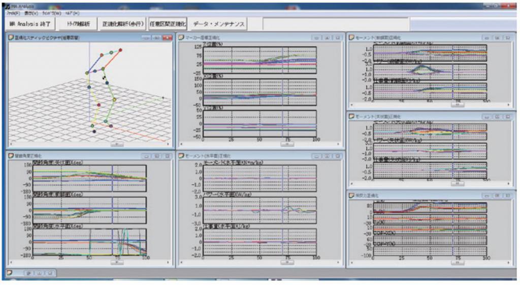 任意正規化解析(歩行以外)