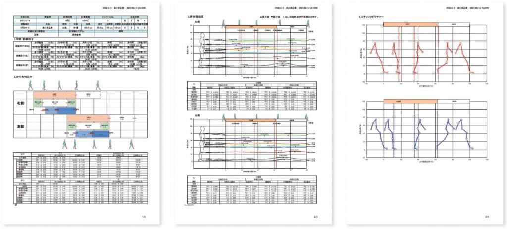 MA-1500レポートサンプル