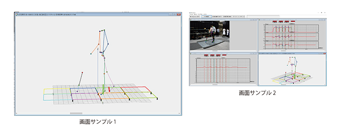 三次元杖荷重計 画面サンプル