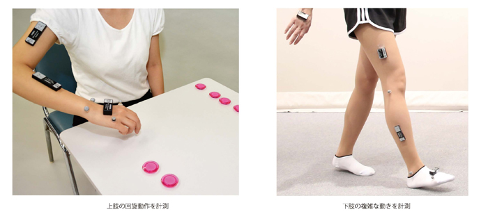 ハイブリッドローカス