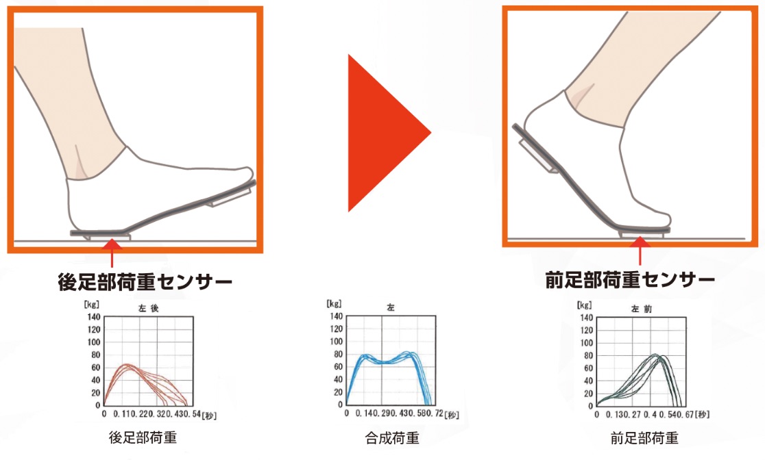 mp-2 「接地」から「蹴り出し」まで、自然歩行が可能